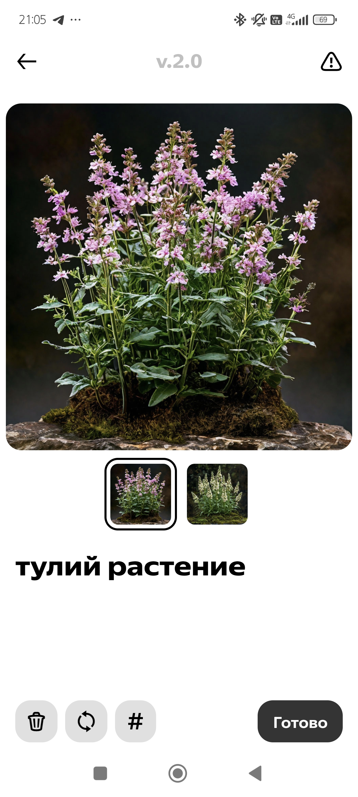 Территория на ТНТ - Screenshot_2025-01-19-21-05-52-266_com.yandex.shedevrus.jpg