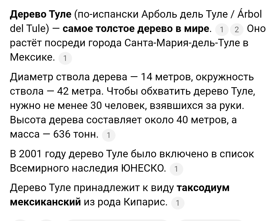 Территория на ТНТ - Screenshot_20250120_013559.jpg