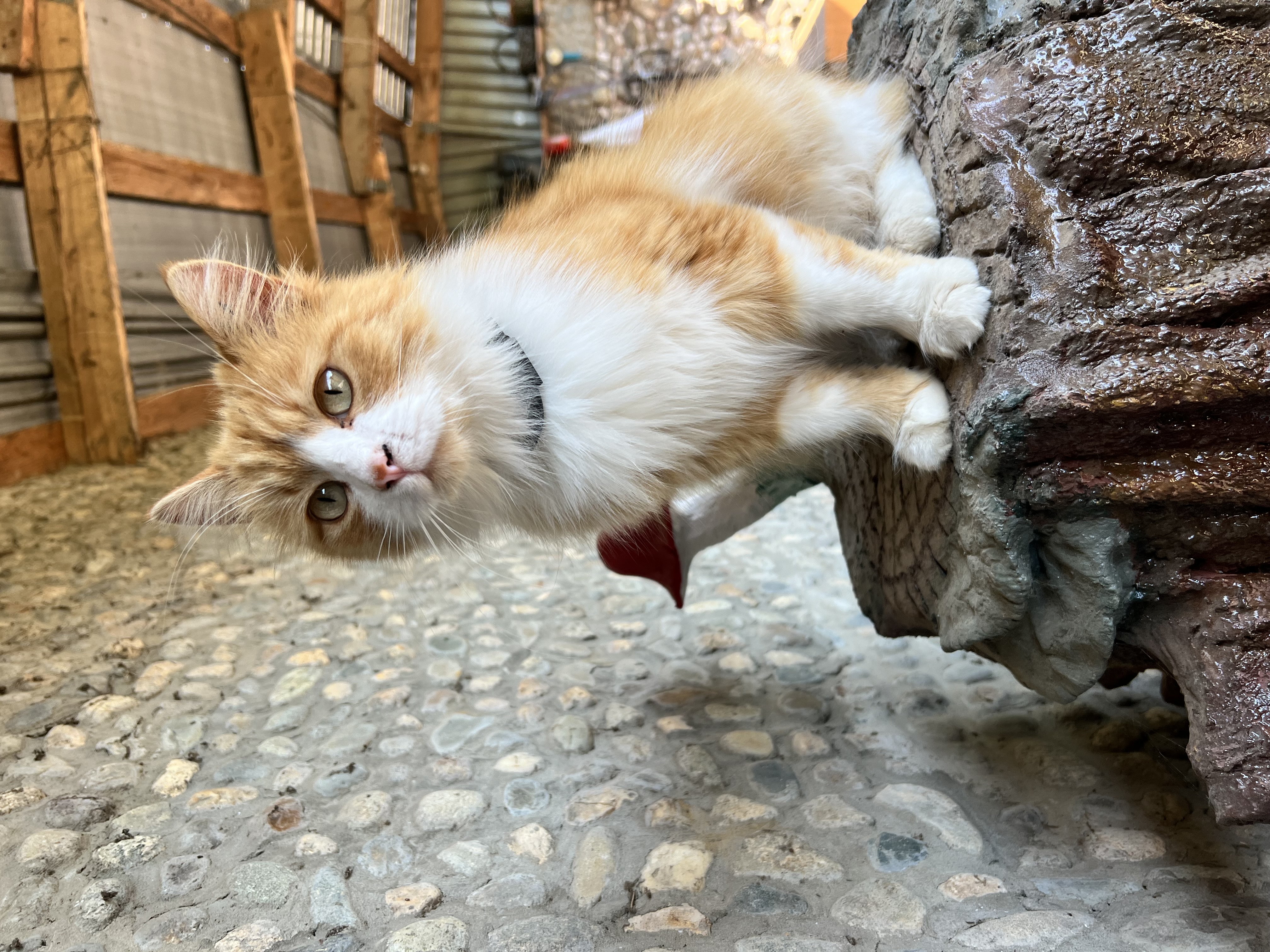 Отношения которые прошли - IMG_0195.jpeg