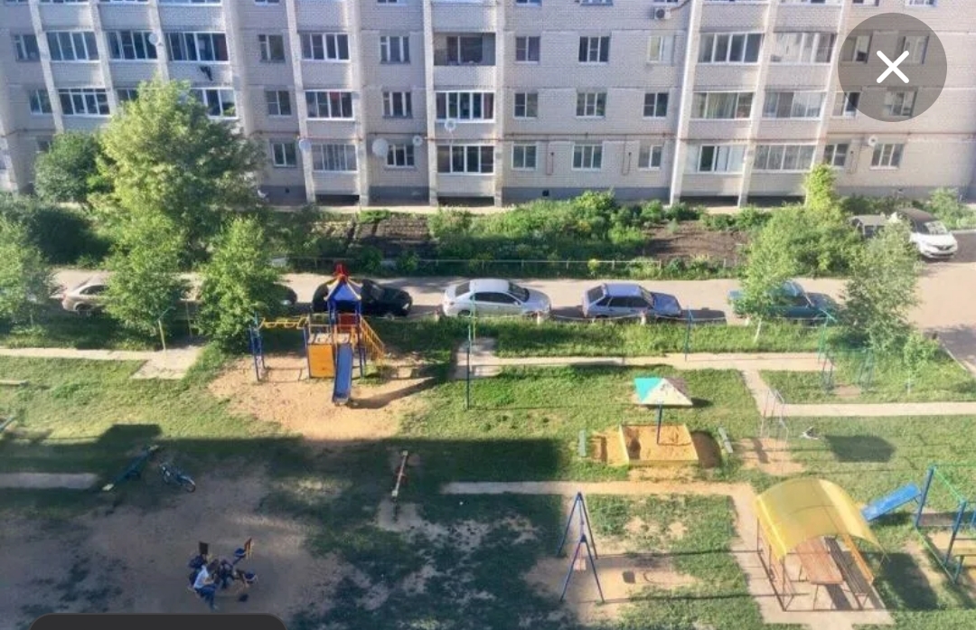 Помогите пожалуйста узнать о собаке - Screenshot_2025-01-24-13-38-51-221_com.android.chrome-edit.jpg