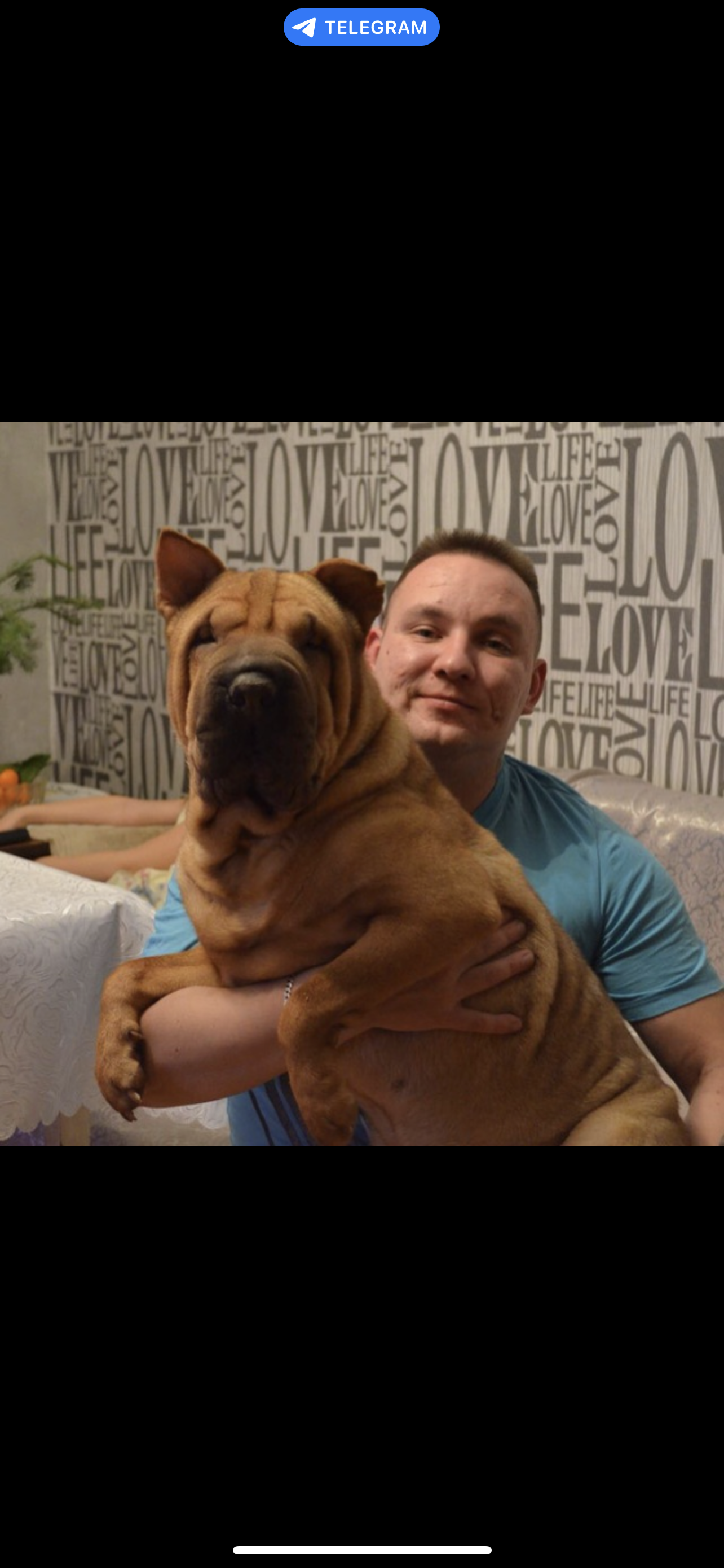 Вернется ли он? - IMG_2286.png