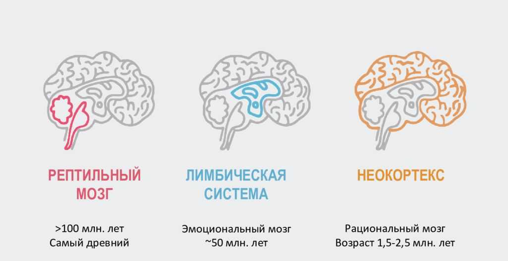 Блог mudder - 1187201_original.png