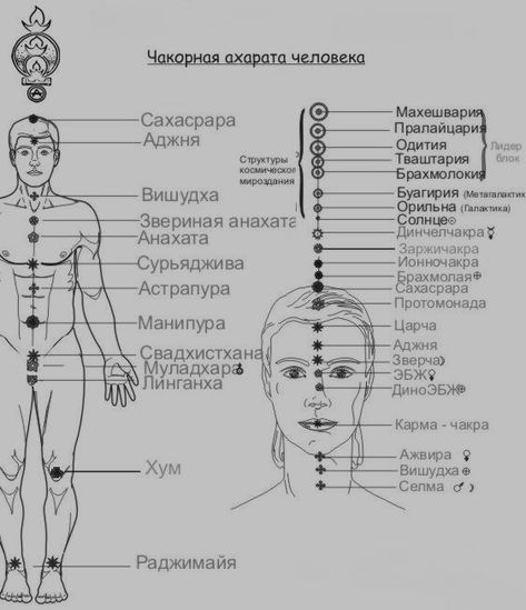 Заметки на пути от Mikle - ахарата человека.jpg