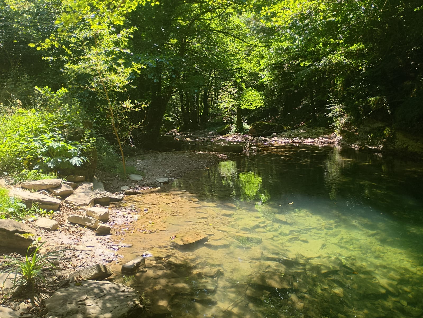 Блог mudder - IMG-20250707-WA0015.jpg