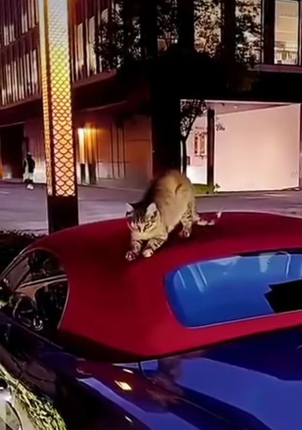 Блог mudder - Screenshot_20250712-175053.jpg