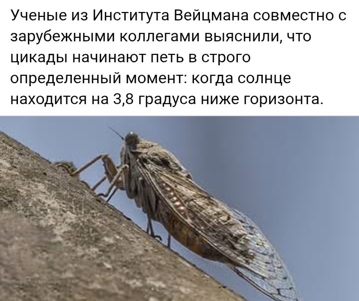 Блог mudder - Screenshot_20250810-194006.jpg