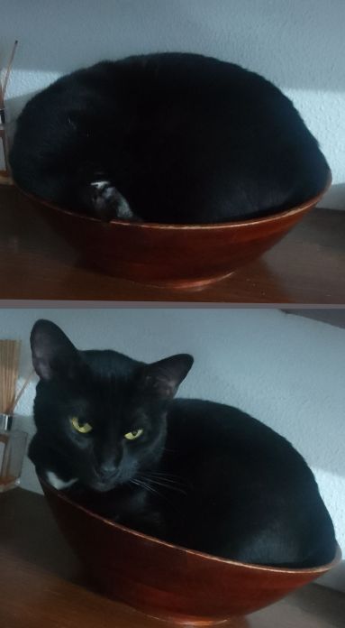 Блог mudder - Screenshot_20251117-214339.jpg