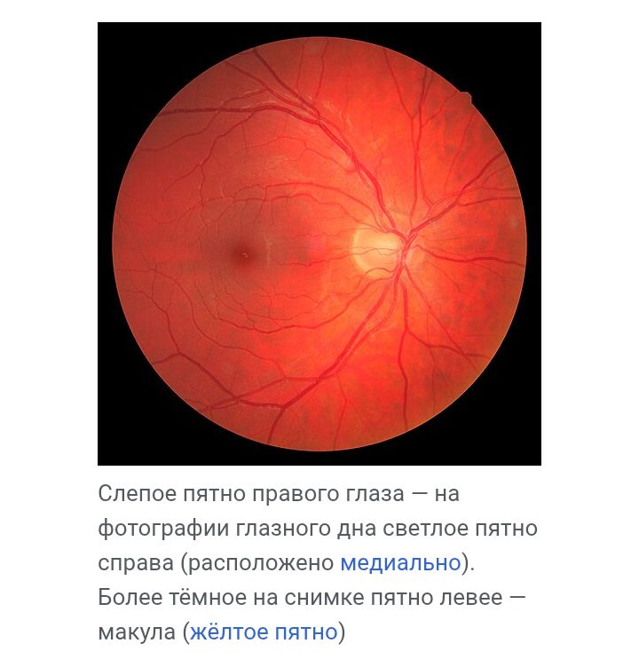 Блог mudder - Screenshot_20251118-102221.jpg