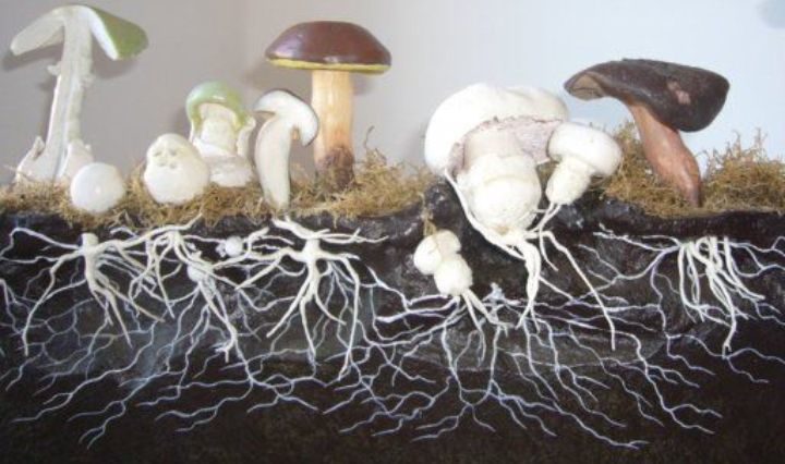 Блог mudder - Screenshot_20251125-230056.jpg