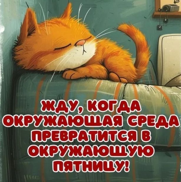 Блог mudder - Screenshot_20251128-064416.jpg