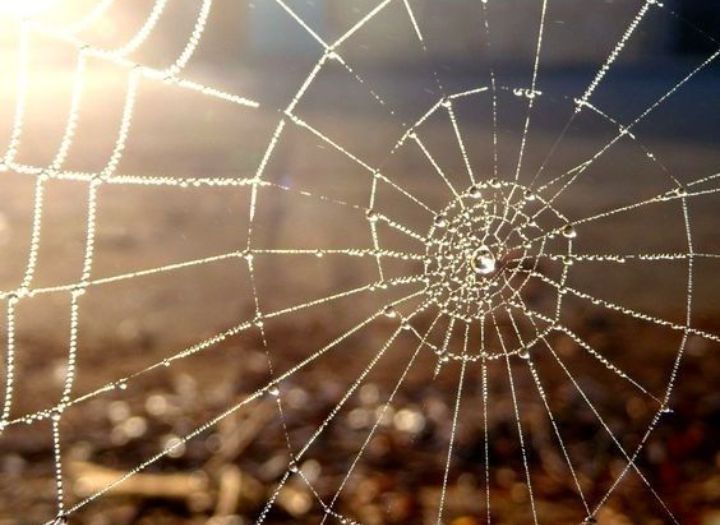 Блог mudder - Screenshot_20251204-052905.jpg