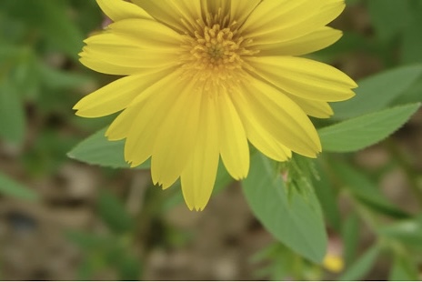 Тотемы. - IMG_7981.jpeg