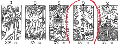 Как определяется? - IMG_20260226_190501.jpg