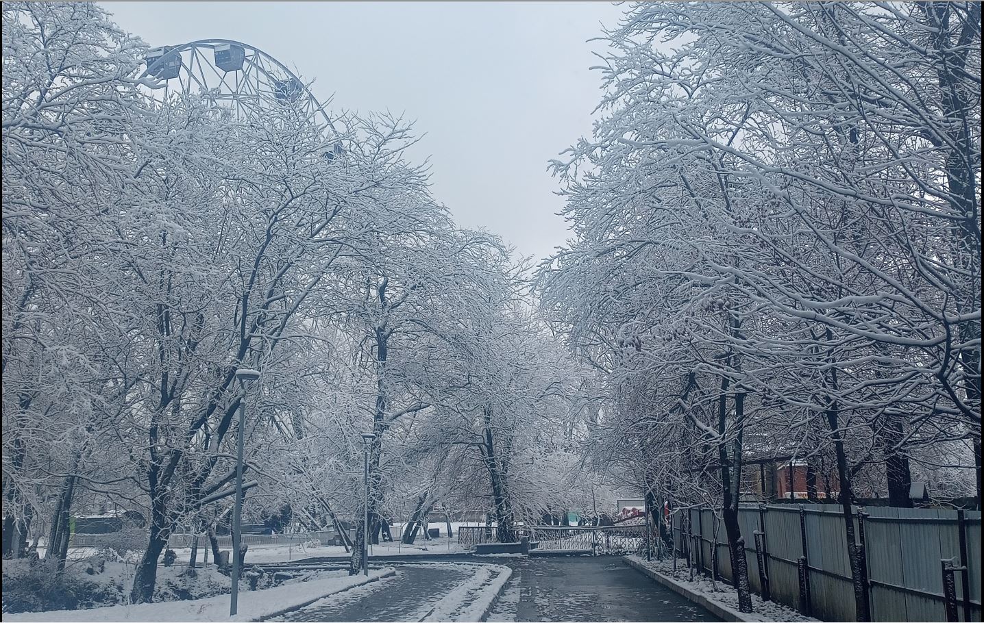 Заметки на пути от Mikle - старый_парк_вход с задворок.JPG