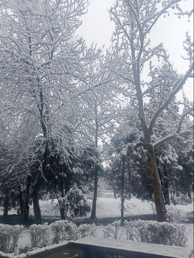 Заметки на пути от Mikle - старый_парк03.JPG