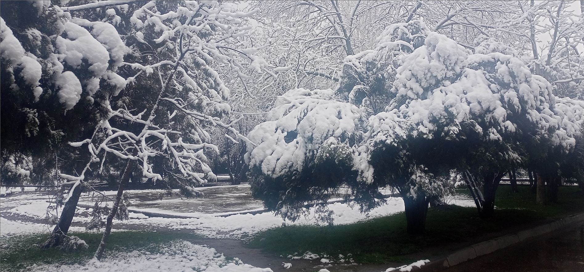 Заметки на пути от Mikle - старый_парк01.JPG