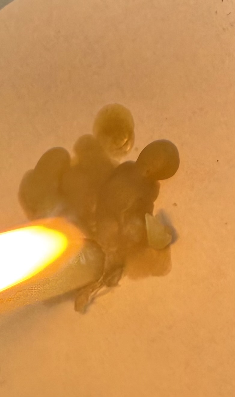 Рисунок после отпевания - IMG_0215.jpeg