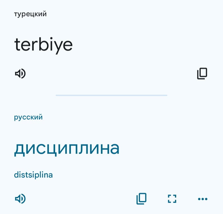 Блог mudder - Screenshot_20260317_120353_Translate.jpg