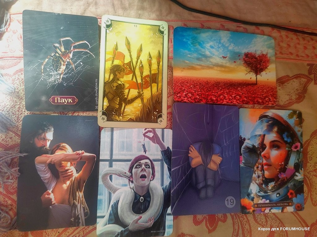 Как правильно читать ответы на вопросы при раскладах.. - IMG_20260322_124822_edit_100339923450107.jpg