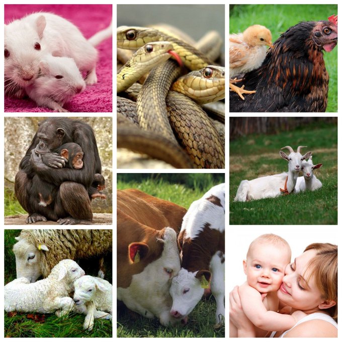 Блог mudder - F2BfRD3XgAI0rcH.jpeg