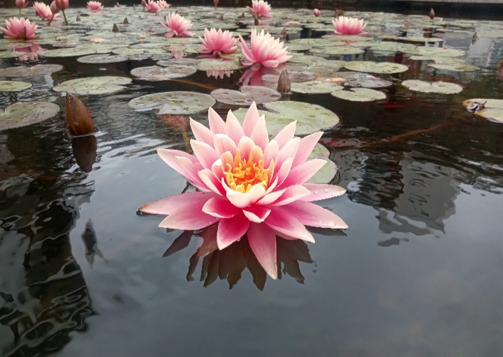 Блог mudder - Screenshot_20260329_144517_Gallery.jpg