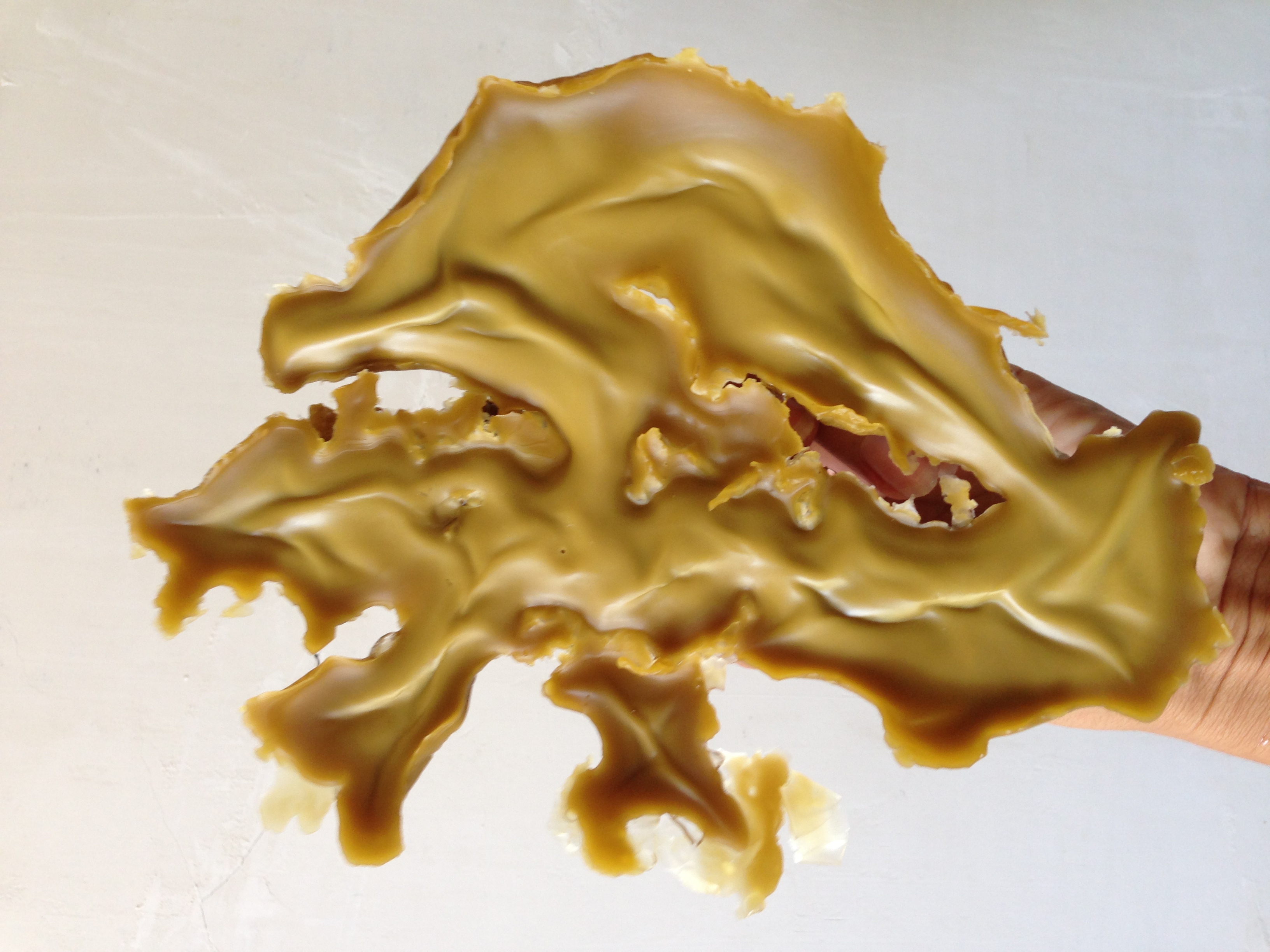 7 раз  - wax.JPG