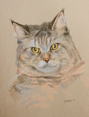 мои рисунки - кот Айгуль.jpg