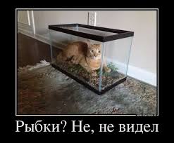 Скатерть Самобранка ТМ Попируем  - images_43.jpeg
