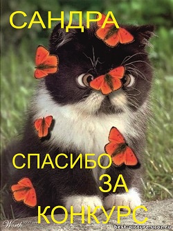требуйте чек не отходя от кассы подсказочка ИТОГИ - кот2.jpg