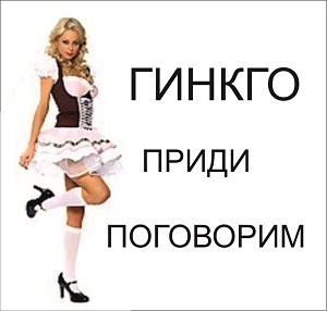  ПОМОГИ ДЕВУШКАМ ДОЕХАТЬ ИТОГИ 8 ст.  - гин2.jpg