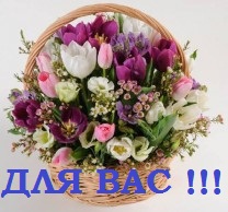  А у Птахи кукуруза ИТОГИ 9 стр  - ПРИВЕТ ...jpg
