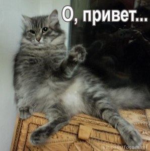  А у Птахи кукуруза ИТОГИ 9 стр  - oSYdvMsD9L4.jpg
