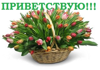  А у Птахи кукуруза ИТОГИ 9 стр  - ПРИВЕТ....jpg