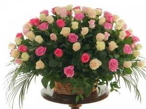  А у Птахи кукуруза ИТОГИ 9 стр  - 5445894d40c088f37a8d2124_547eec4a83392.jpg