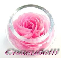ЧТО в мешочке Правильный ответ на 1 стр. Итоги 2 стр - imgpreview.jpg