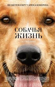 Путь души животного после смерти.. - Без названия.jpg