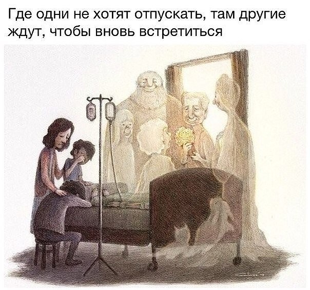 Путь души животного после смерти.. - 123e.jpg