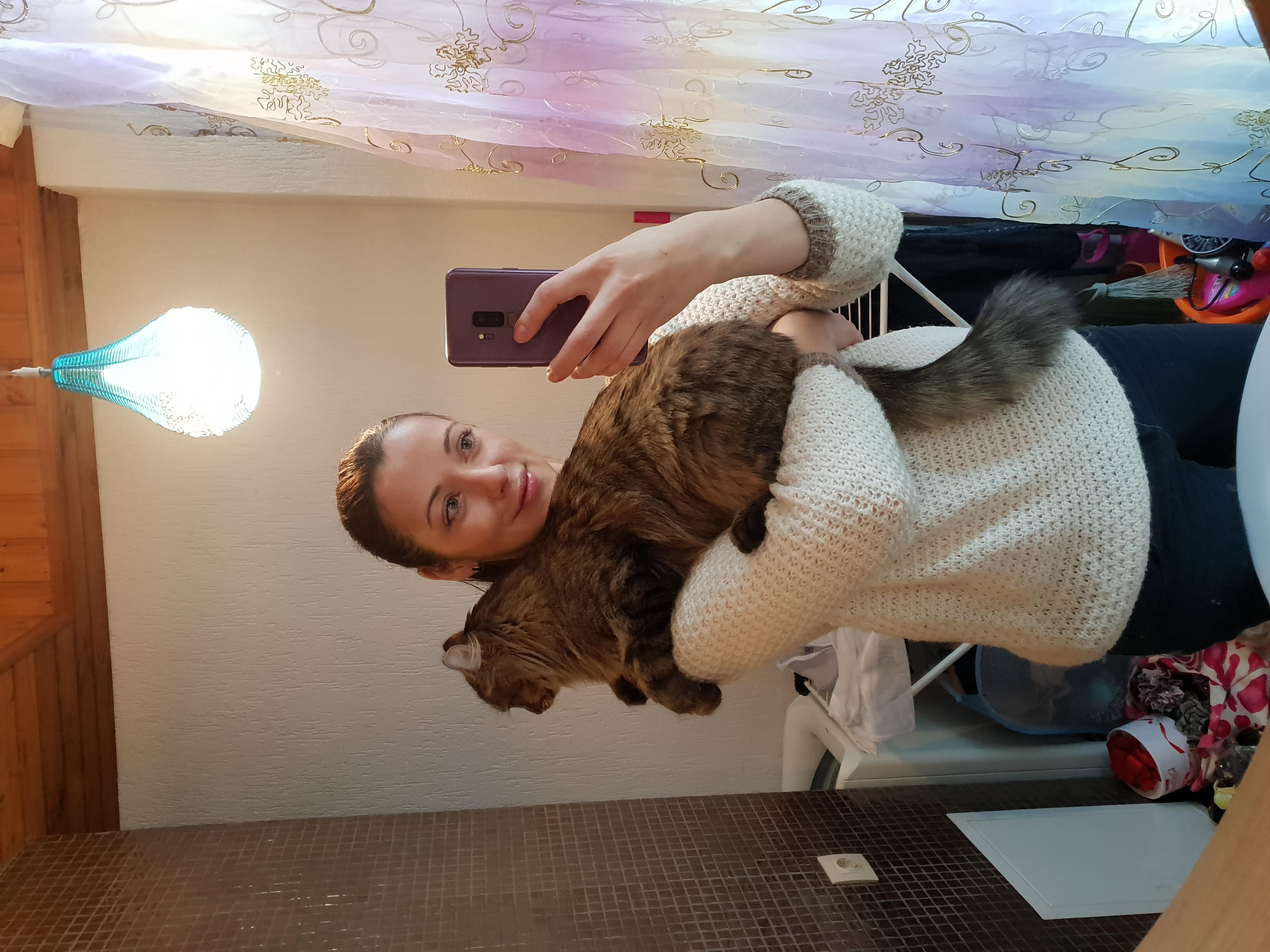 Помогите найти котюлю - 20190118_095438.jpg