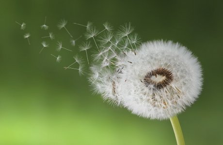 С миру по нитке - images_cms-image-000058776.jpg