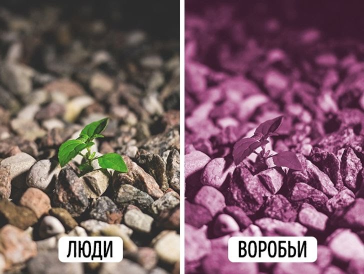 С миру по нитке - 9aff345792bb3c49c633d06d40.jpg
