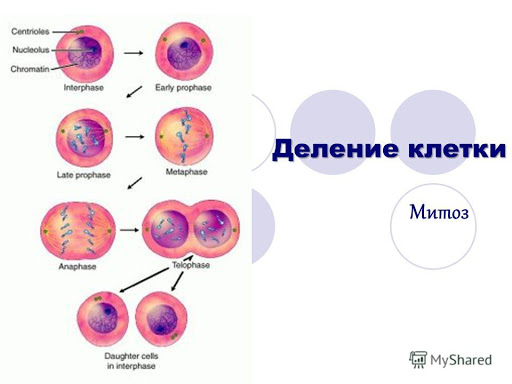 Блог mudder - unnamed (1).jpg
