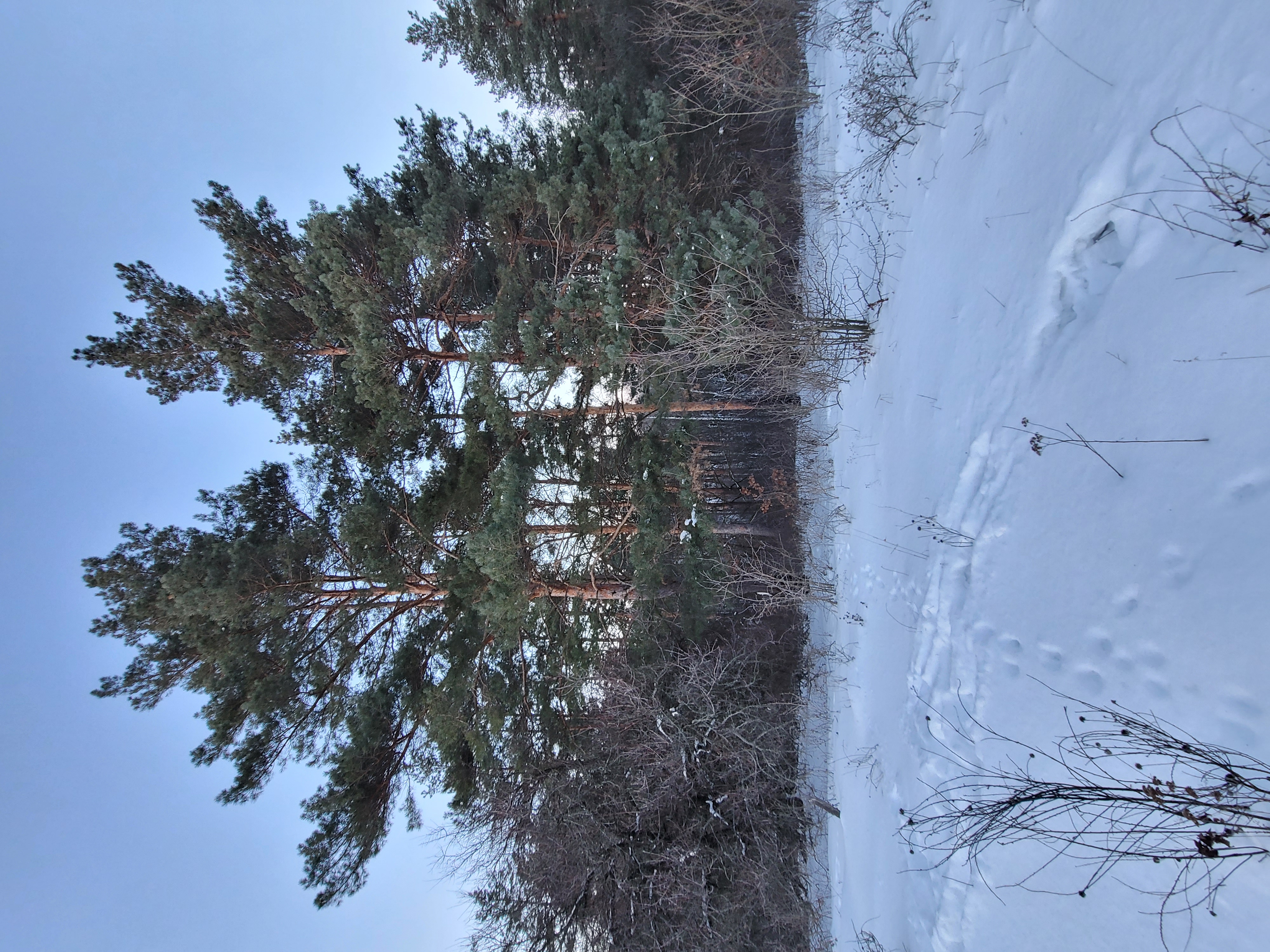 Может ли быть воздействие на участок земли? - 20210219_171116.jpg