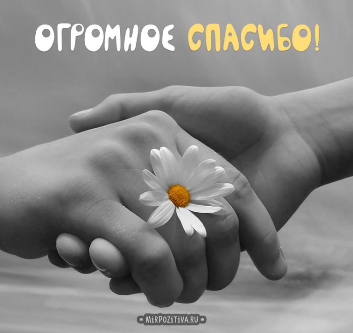 Настроение.... - 901e57cec50663d66c23169698d8e762.jpg