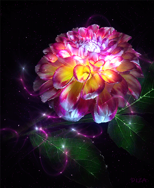 Настроение.... - flowers-28.gif