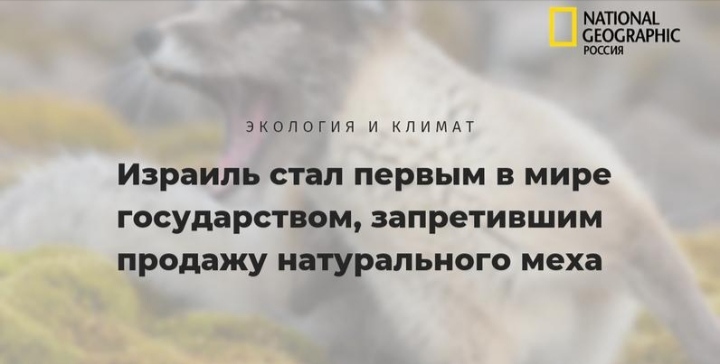 Блог mudder - IMG_20210612_121720.jpg