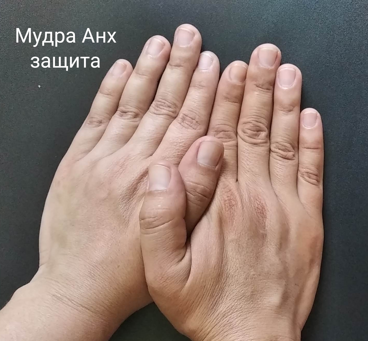 Блог mudder - IMG_20210622_110926.jpg