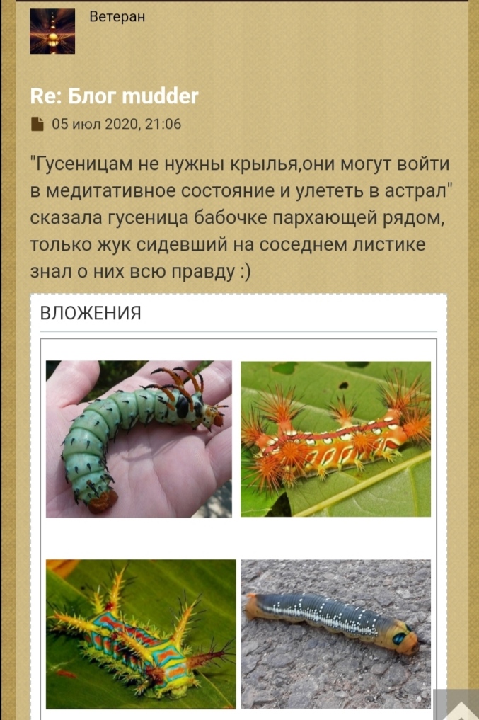 Блог mudder - IMG_20210624_162726.jpg