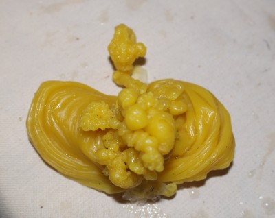 низ