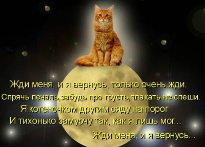 Путь души животного после смерти.. - 2.jpg