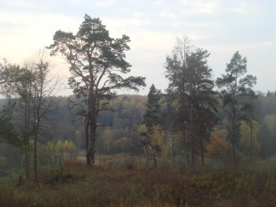 Москва. Поход по местам силы - DSC09260.JPG